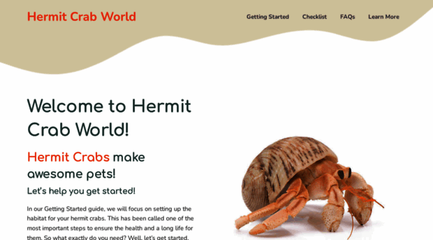 hermitcrabworld.com