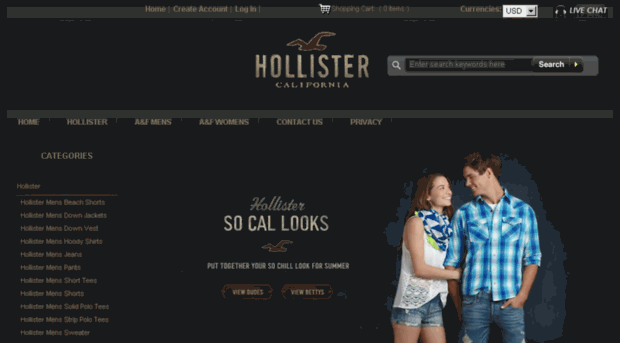 hollister.in.net