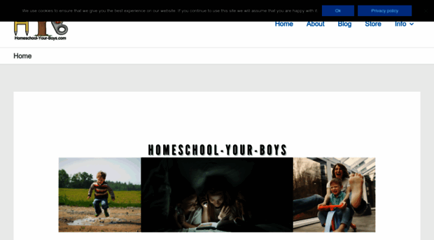 homeschool-your-boys.com