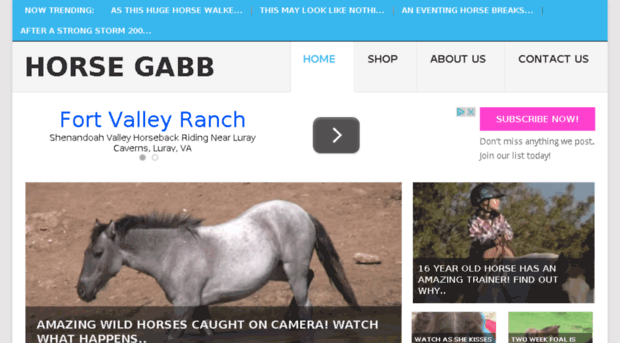 horsegabb.com