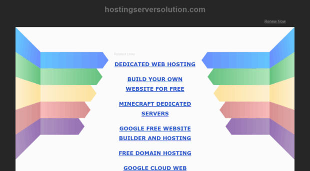hostingserversolution.com