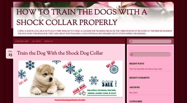 howtotrainadogwithashockcollar.wordpress.com