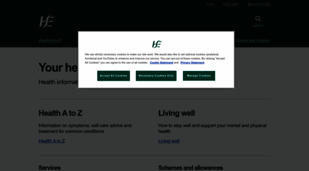 hse.ie