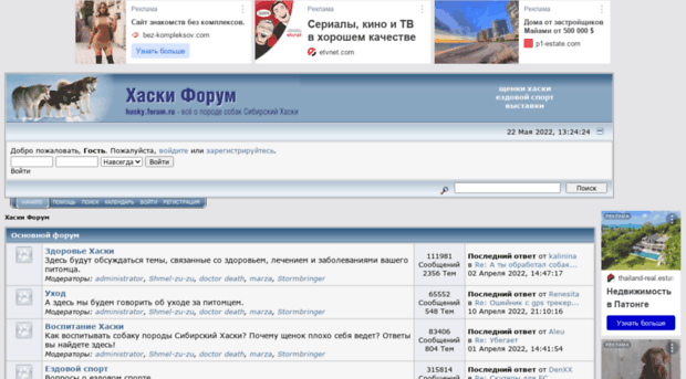 husky.forum.ru