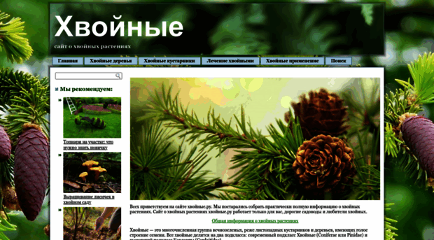 hvoinie.ru