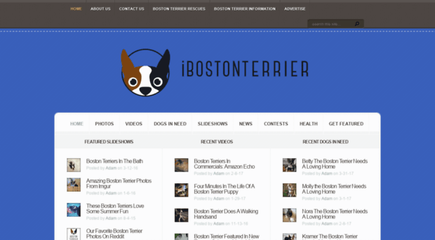 ibostonterrier.com