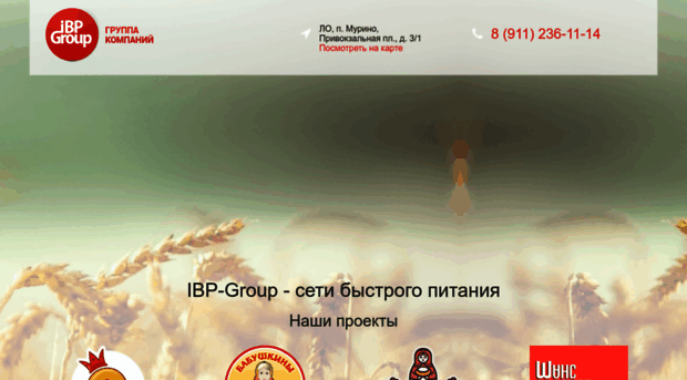 ibp-group.ru