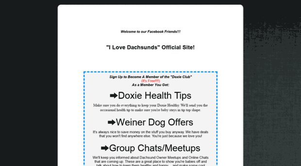 ilovedachsunds.com