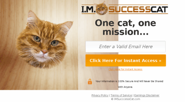 imsuccesscat.com