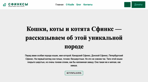 infoturs.ru