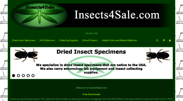 insects4sale.com