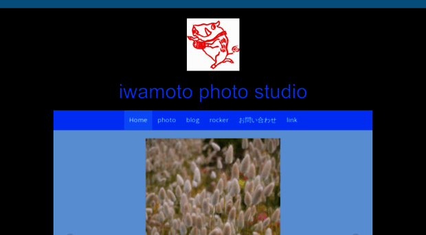 ip-studio.net