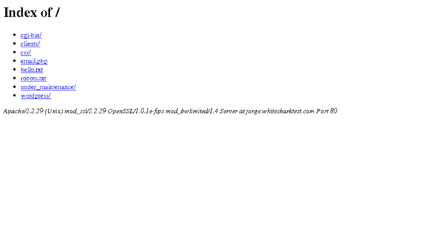 jorge.whitesharktest.com