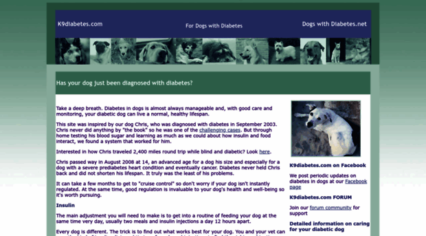 k9diabetes.com