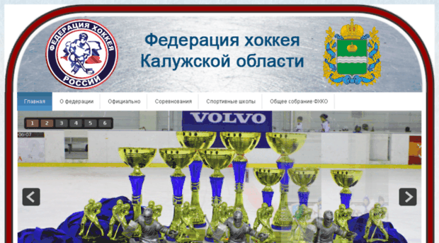 kaluga-hockey.ru