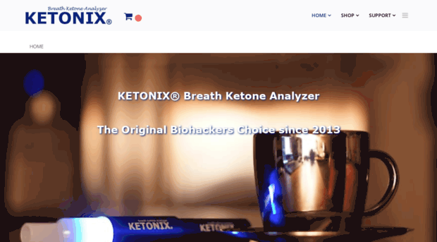 ketonix.com