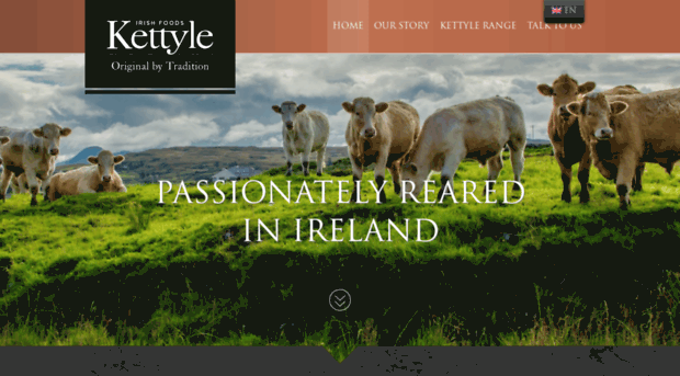 kettyleirishfoods.com