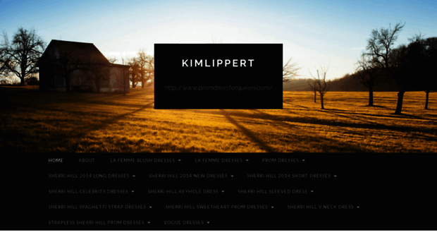 kimlippert.wordpress.com