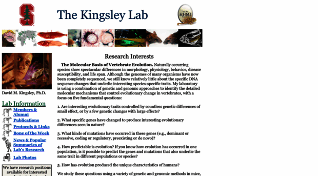 kingsley.stanford.edu