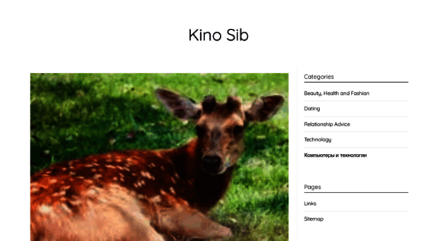 kino-sib.ru