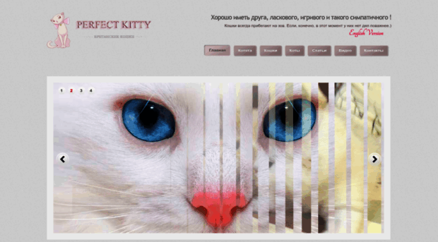 kitty.perfect-gold.ru