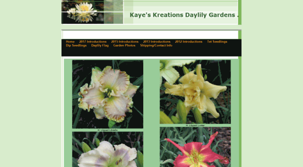 kkdaylilies.com