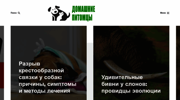 klkfavorit.ru
