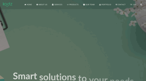 kodz.net