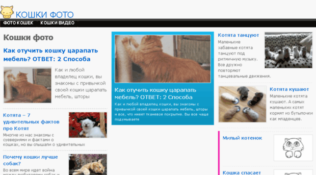 koshki-foto.org.ua