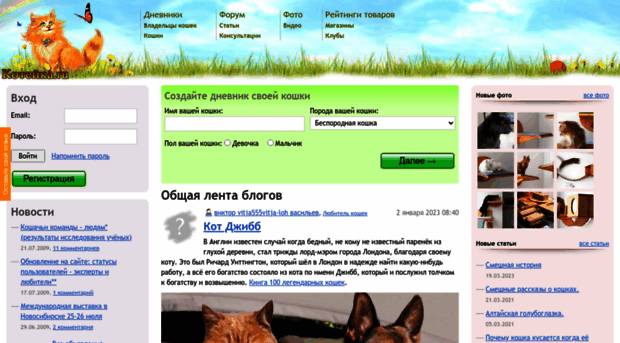 koteika.ru