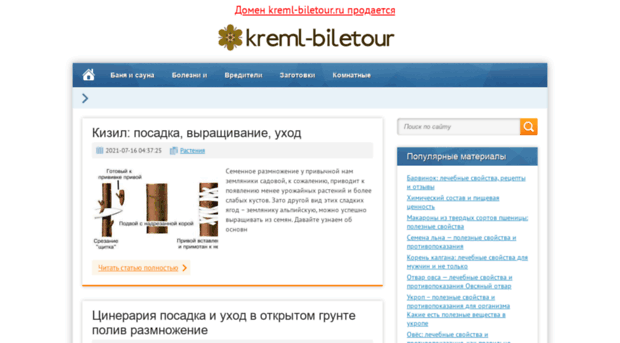 kreml-biletour.ru