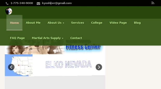 kyokushinnevada.com
