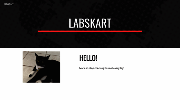 labskart.com