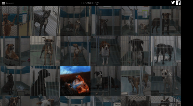 landfilldogs.com