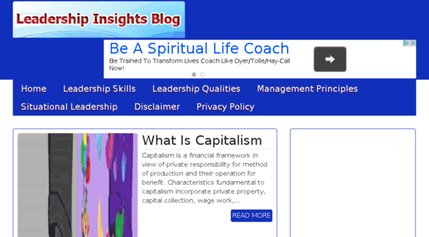 leadershipinsightsblog.com