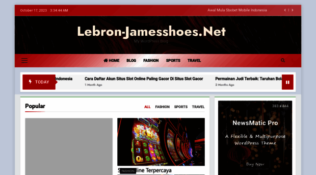 lebron-jamesshoes.net