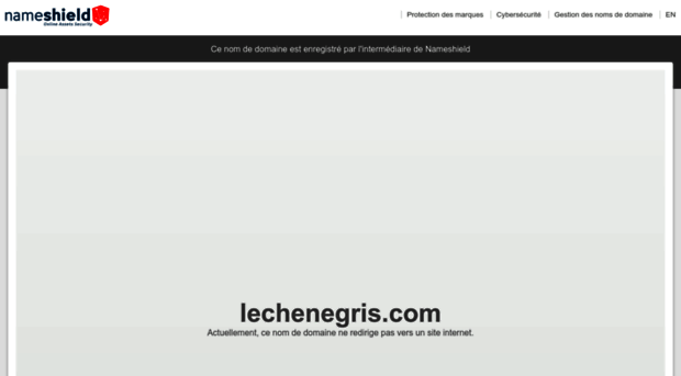 lechenegris.com