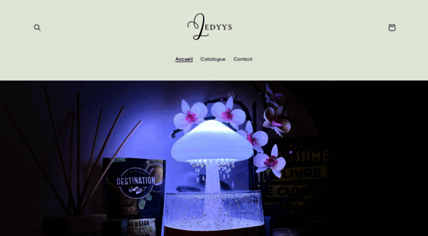 ledyys.com