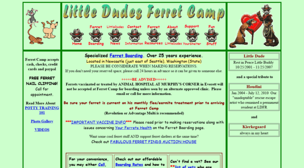 littledudesferretcamp.com