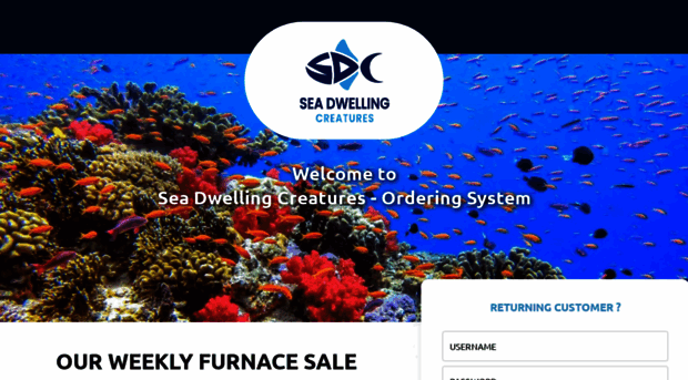 live.seadwelling.com