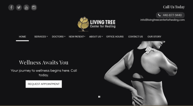 livingtreecenterforhealing.com