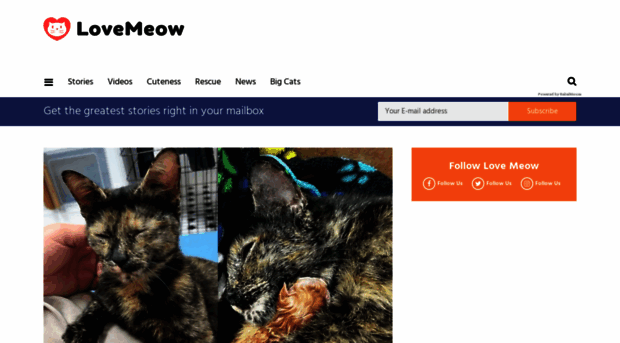 lovemeow.com