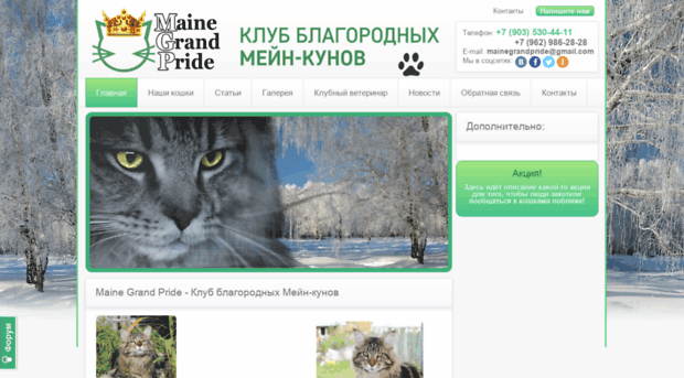 mainegrandpride.ru