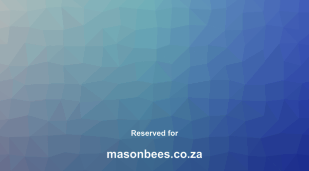 masonbees.co.za