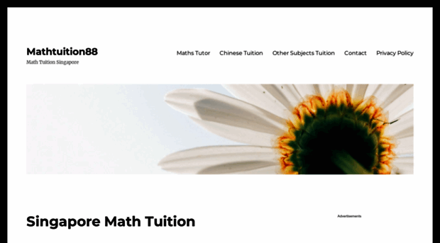mathtuition88.com