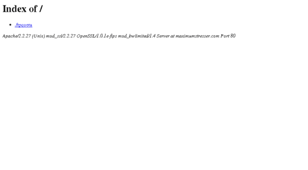 maximumstresser.com