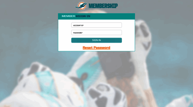 member.dolphins.com