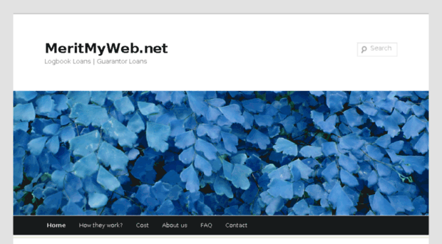 meritmyweb.net