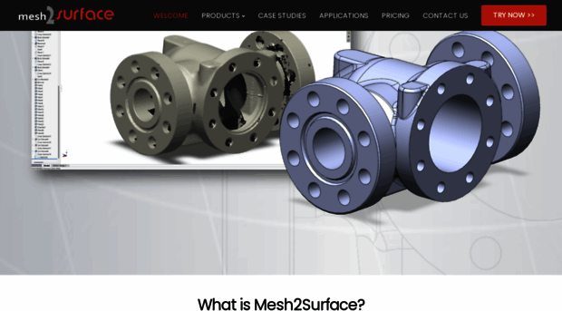 mesh2surface.com