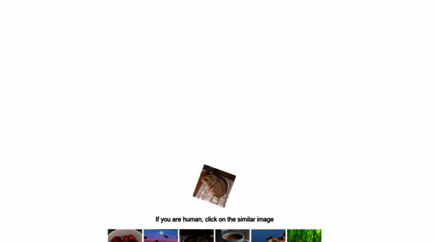 metkarkasnn.ru